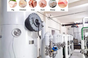 Производитель оборудования для экстракции животного жира