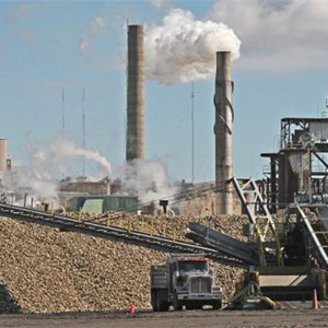 название продукта