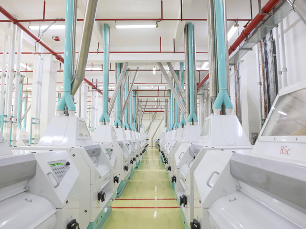 Линия по производству пшеничной муки мощностью 5000 т в день