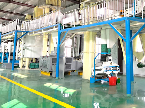 Процесс производства кунжутного масла