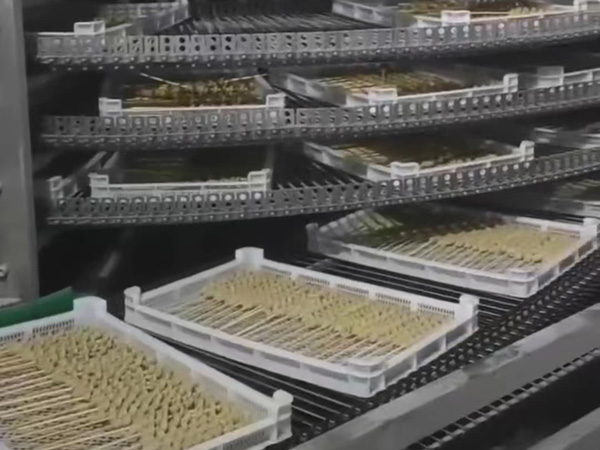 Морозильник для глютена