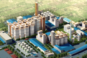 Производитель линий по производству зернового масла