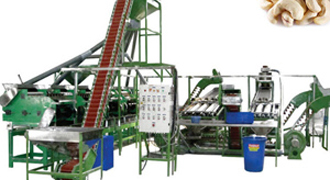 Линия по производству орехов.jpg