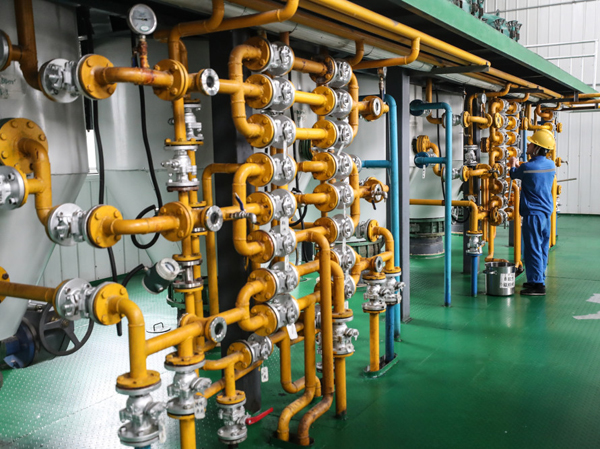 Введение в завод по добыче рисовых отрубей