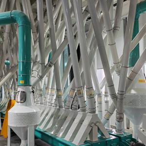 Линия по переработке зерна 