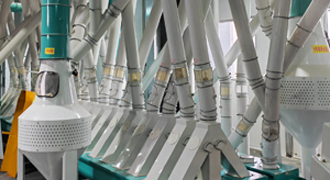 линия по производству кукурузной муки