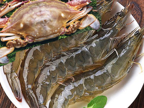 Линия по производству кормов для креветок и крабов