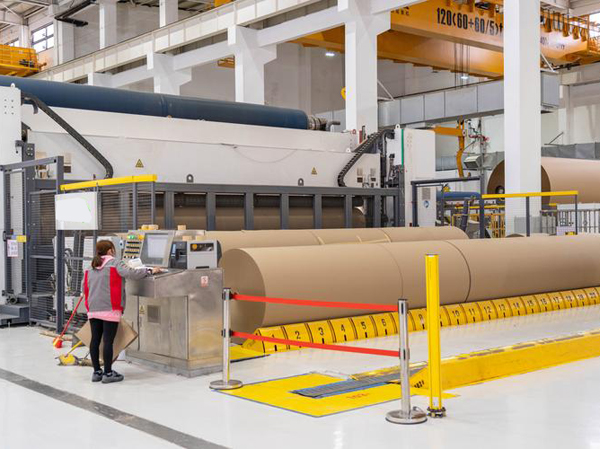 Автоматическая линия по производству бумаги из древесины