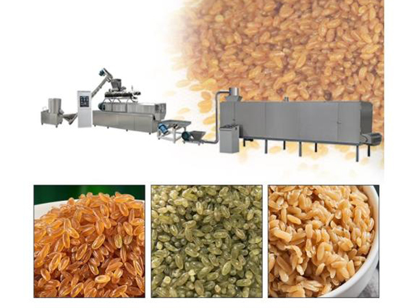 Производитель линии по производству композитного риса для искусственного питания